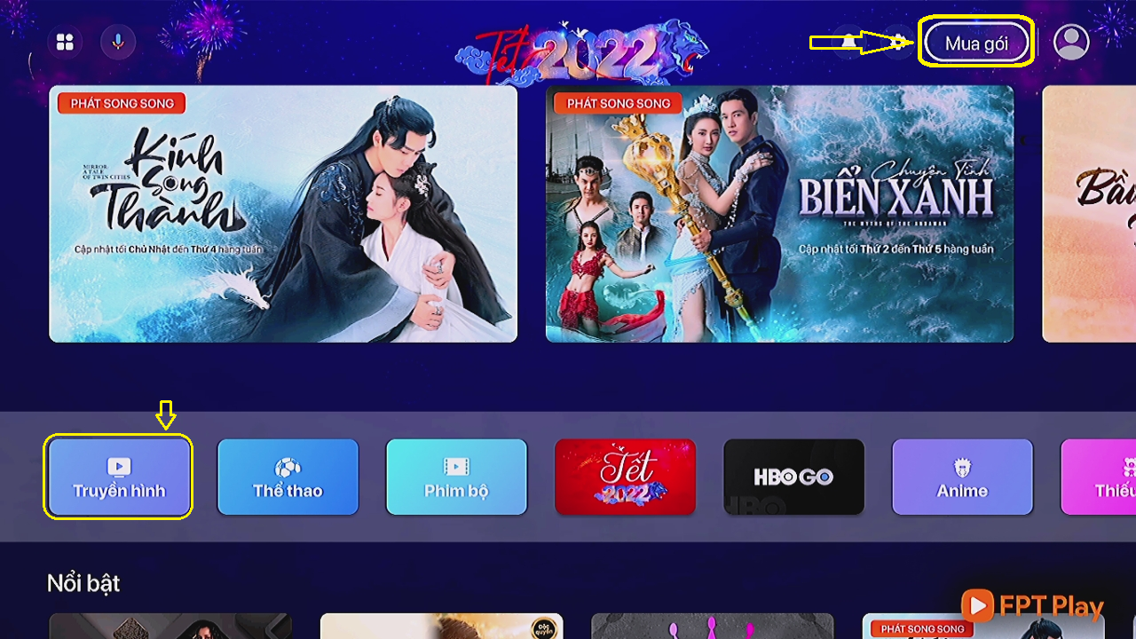 Những Sai Lầm Thường Gặp Khi Sử Dụng FPT Play